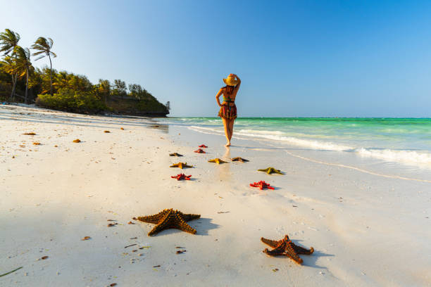 istockphoto 2202128349 612x612